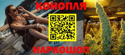 спиды Аргун