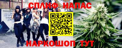 спиды Аргун