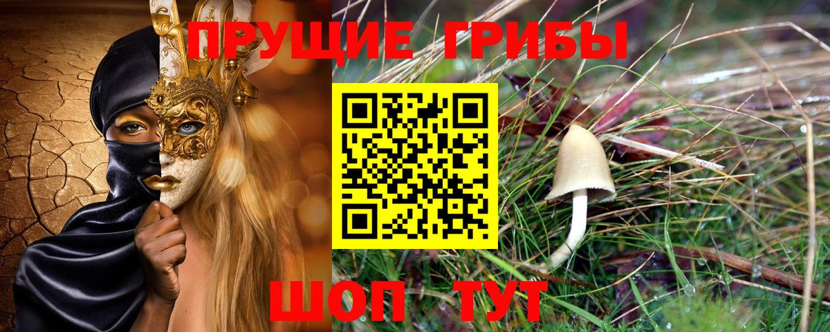 Бор  Псилоцибиновые грибы GOLDEN TEACHER  Вход с VPN 