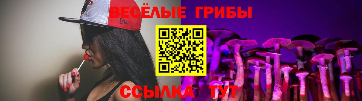 Псилоцибиновые грибы Cubensis Бор