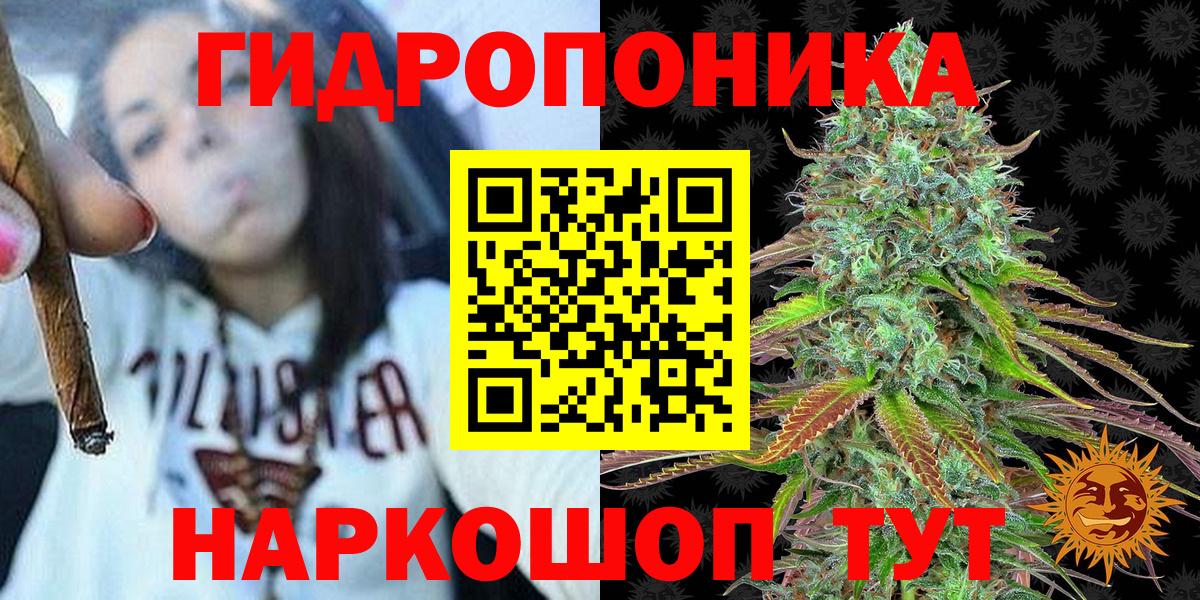 Канабис конопля  Вход с VPN  Бор  Шишки марихуана сатива  Марихуана семена 